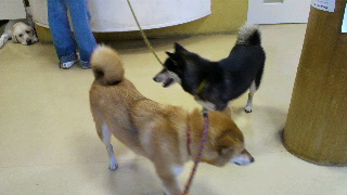 2012090809460000.jpg
