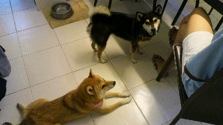2012092107120000.jpg