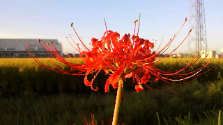 2012100405430000.jpg