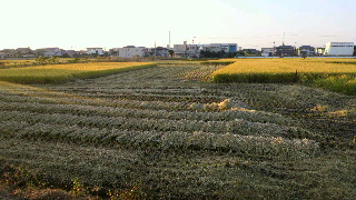 2012101211470000.jpg