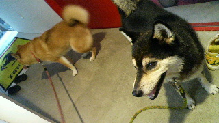 2012101211480000.jpg