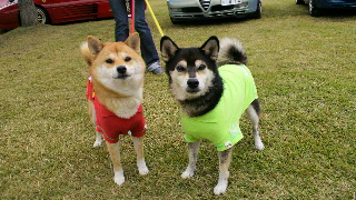 2012101420430001.jpg