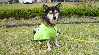 2012102118400000.jpg