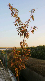 2012102310210000.jpg