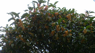 2012102320350000.jpg