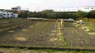 2012102715010000.jpg
