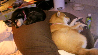 2012103107240000.jpg