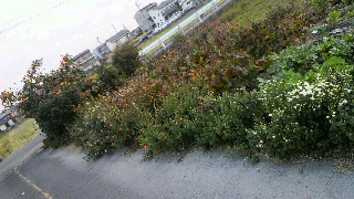 2012110606340000.jpg