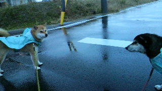 2012110606340001.jpg