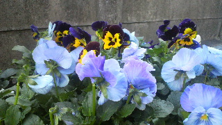 2012111416430000.jpg