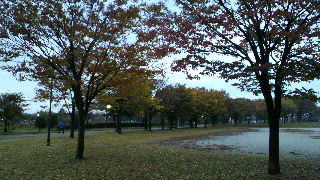 2012112206110000.jpg