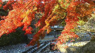 2012112517510000.jpg