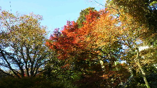 2012112517520001.jpg