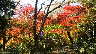 2012112517530000.jpg