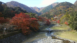2012112517530001.jpg