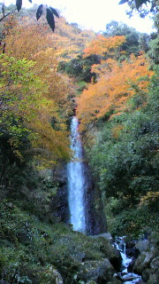 2012112519470000.jpg