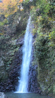 2012112519480000.jpg