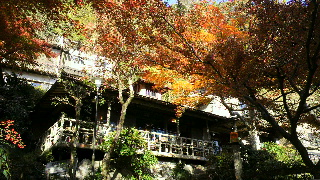 2012112520010000.jpg