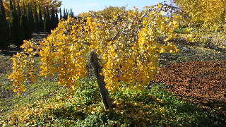 2012112520300000.jpg