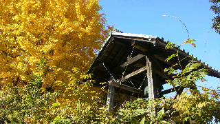2012112520300001.jpg