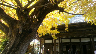 2012112520300002.jpg