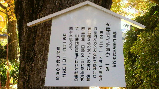 2012112520310000.jpg