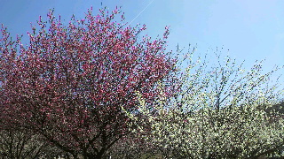 2013031720210002.jpg