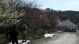 2013031720220001.jpg
