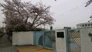 2013032907130001.jpg