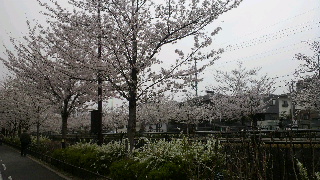 2013040103300002.jpg
