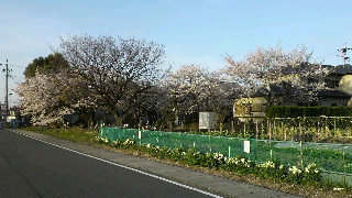 2013040106580000.jpg
