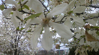 2013040618160001.jpg