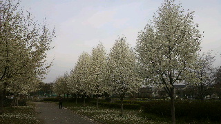 2013040618160003.jpg