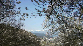 2013041421240000.jpg