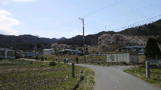 2013041607220000.jpg