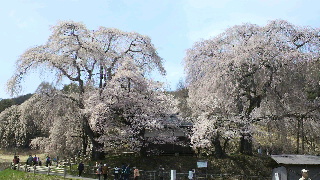 2013041607220002.jpg