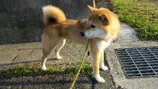 2013042717080002.jpg