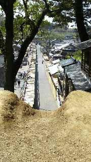 2013050600540002.jpg