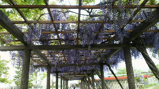 2013050601310001.jpg