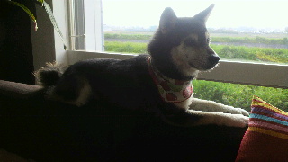 2013051920240000.jpg
