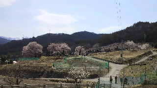 2013051920570000.jpg