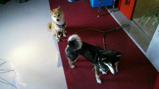 2013051921040000.jpg
