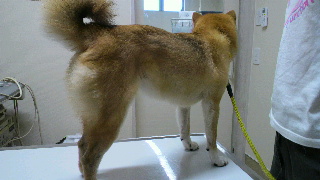 2013062209580001.jpg