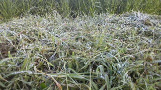 2013082706150000.jpg