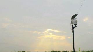 2013083006310000.jpg