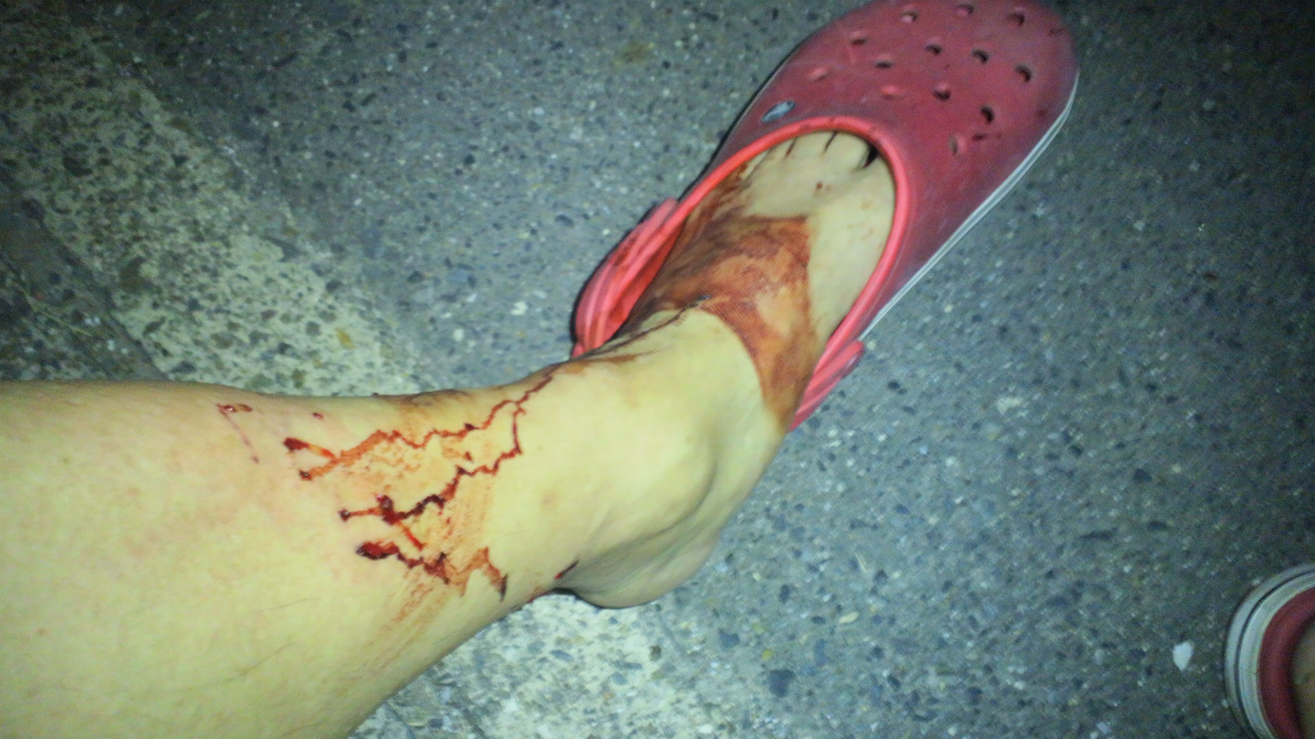 2013083119200000.jpg