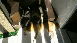 2013092320380000.jpg