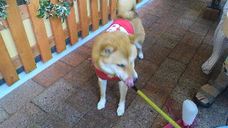2013092320380001.jpg