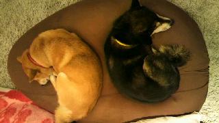 2013092320390000.jpg
