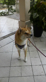 2013092320400000.jpg